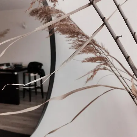 Boho 4 Pools 10min To The בורגאס